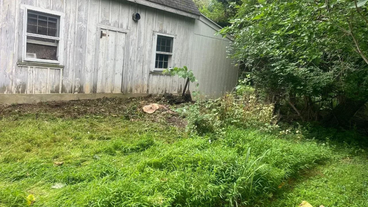 Garage side wall with old wood siding and windows