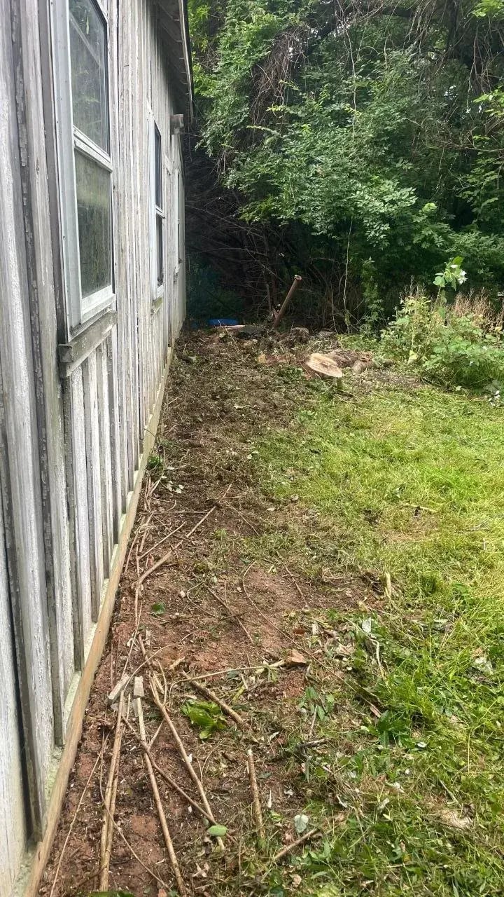 Side of the old garage before renovation
