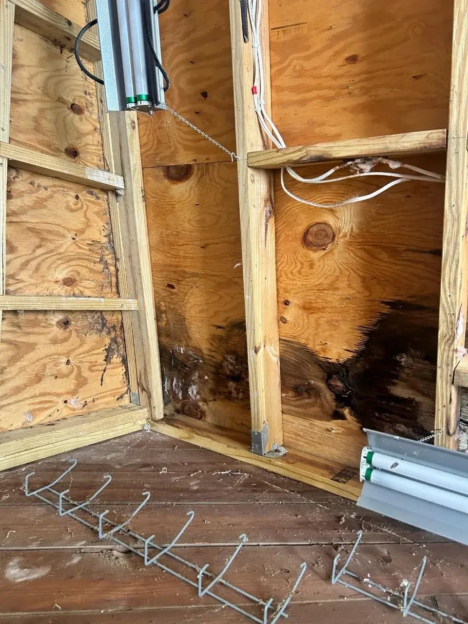 Water damage on wall sheathing in the side room