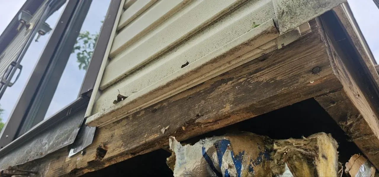 Close-up of rot along the house where the deck was attached